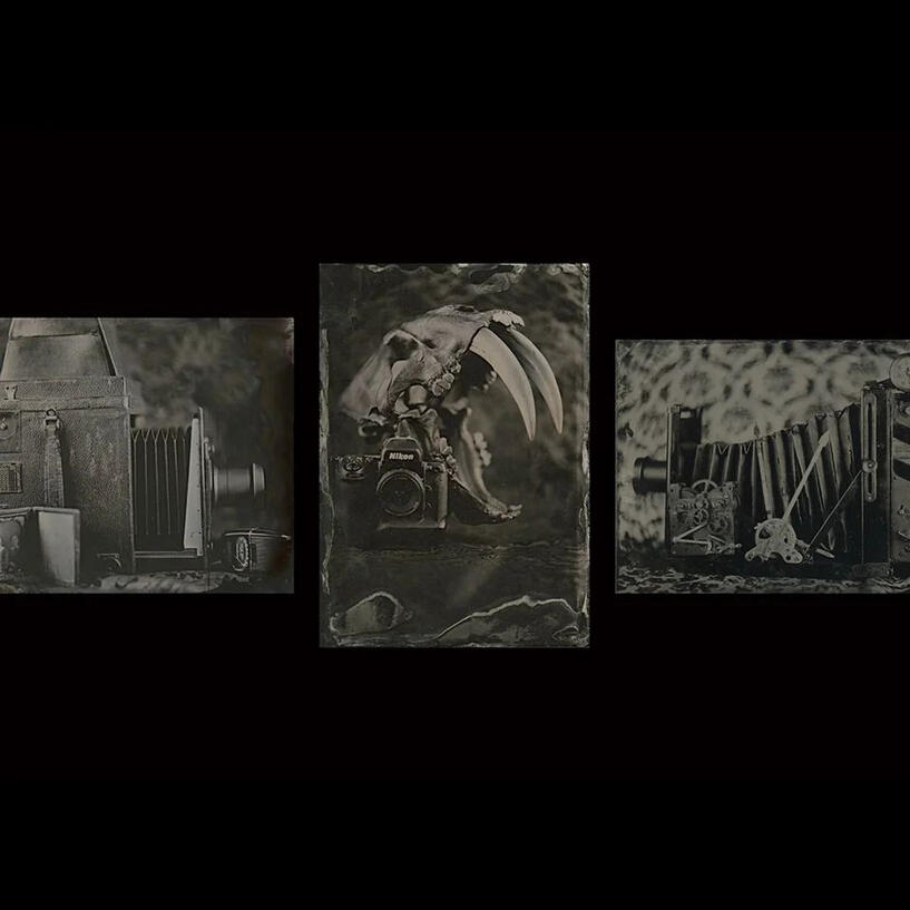 Different Ages of Vintage by Eric Baloga