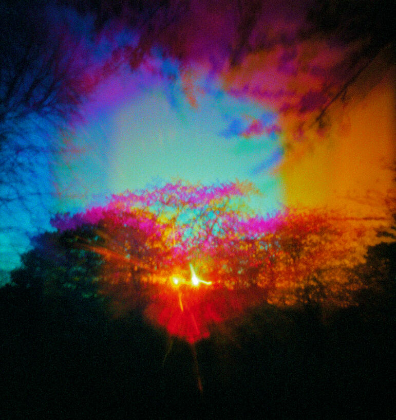 Blood Orange Bloom (2012) by Jennifer Rowsom