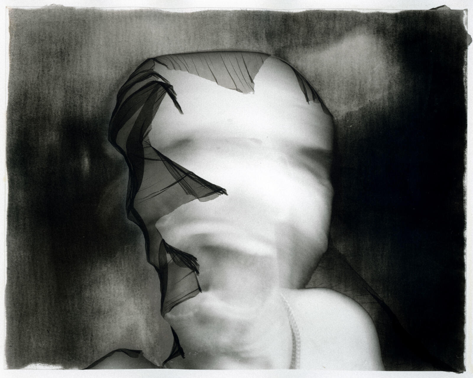 Laboosta (2023) by Jamie Marcellus