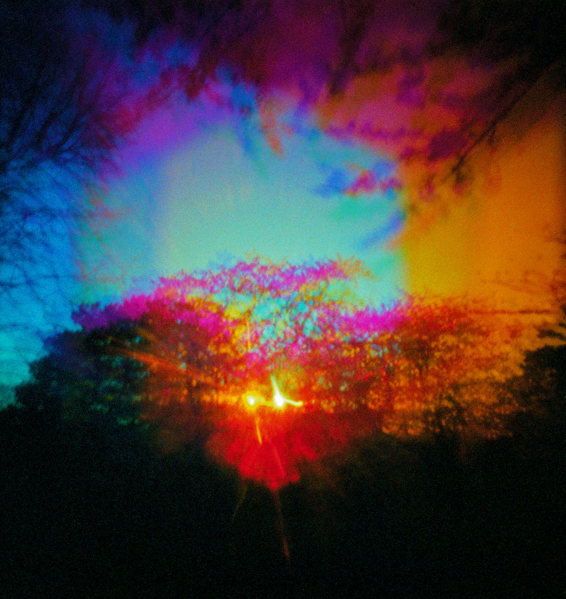 Honuanau by Jackie Rancourt