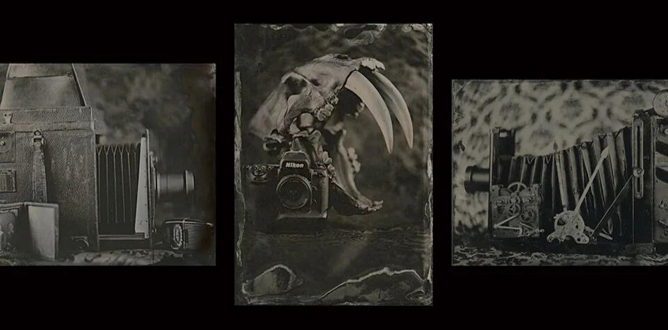 Different Ages of Vintage by Eric Baloga