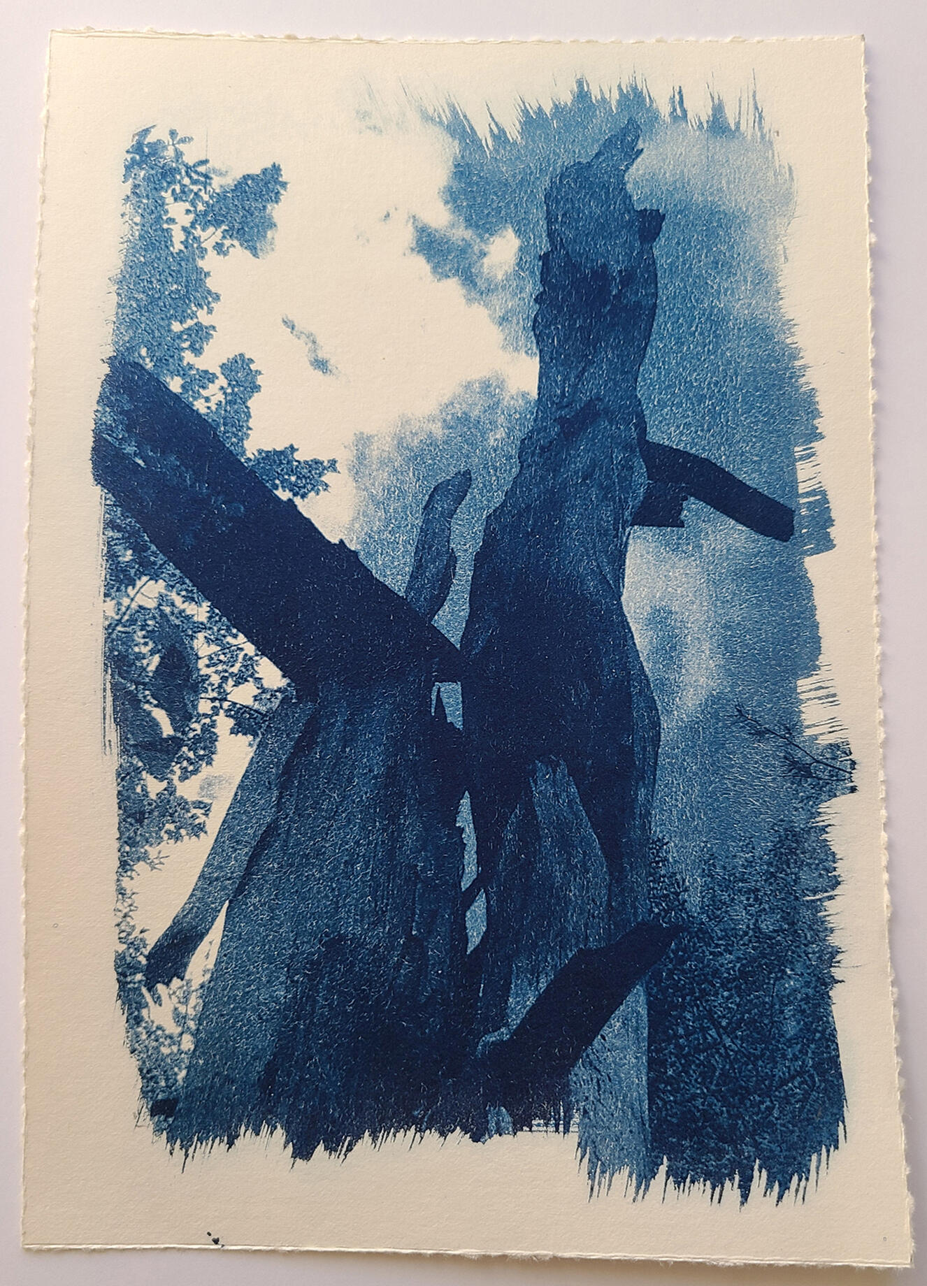 Torsos by Atia Pokorny